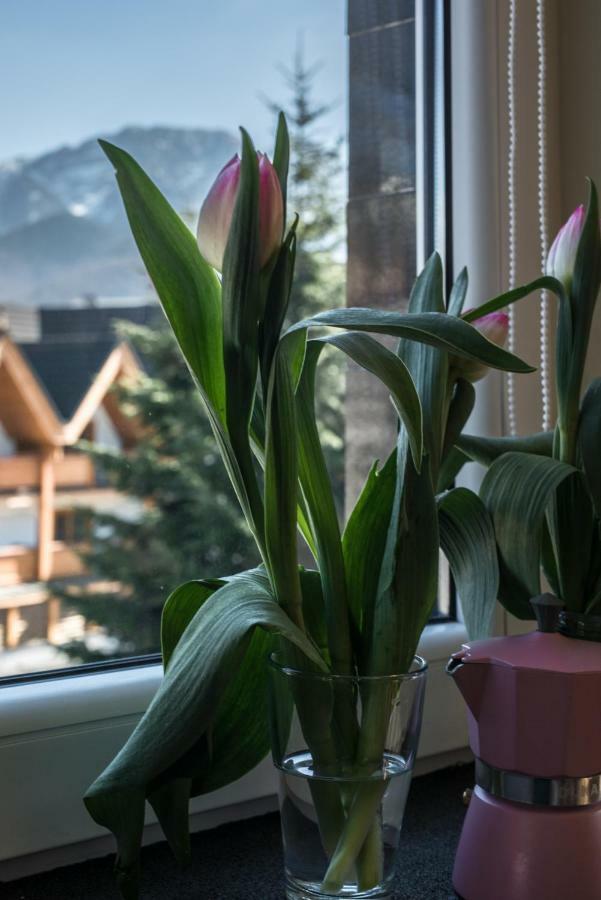 5 Krokow Zakopane Exterior photo